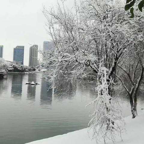 20190209百家湖的雪