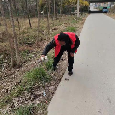 村居环境大整治，扮靓乡村新容颜