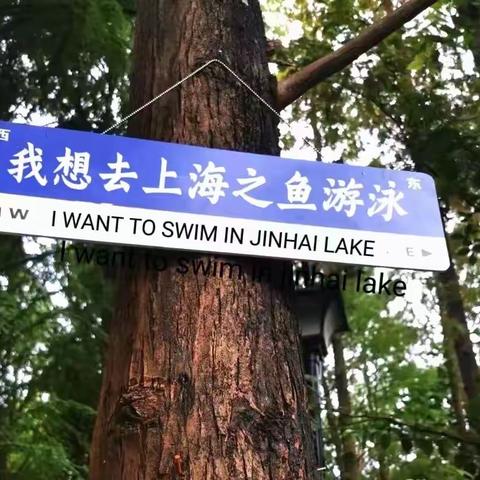 老有所乐一日游