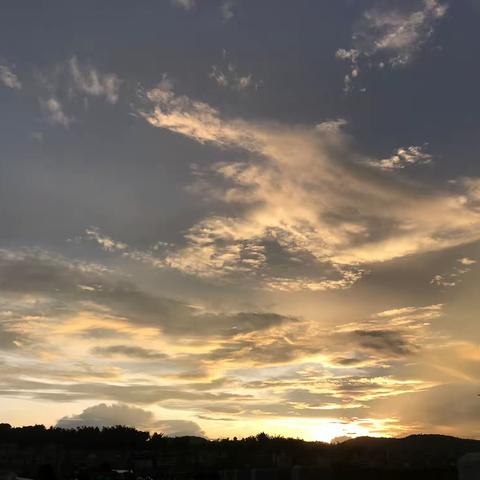 我们在奔赴的路上，依旧向前，愿做展翅的雄鹰，不惧泠冽的寒风，展开翱翔的翅膀。