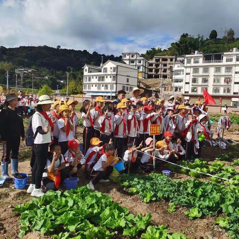 云南省普洱市思茅二小三年级三三九班“劳动研学实践活动”