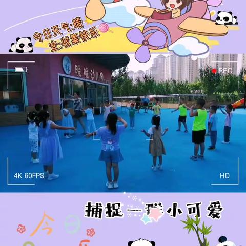 【晓晓幼儿园闪亮一班】2023年8月2日，星期三，一日精彩分享