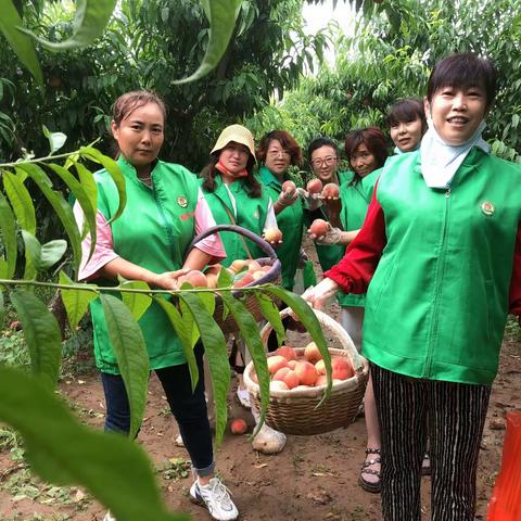 春晖义工助农采摘行动 暖人心（助农篇）