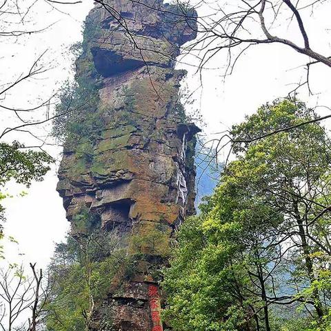 八千里路山与水之张家界风光