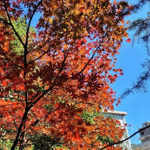 十一月，一切美好在路上