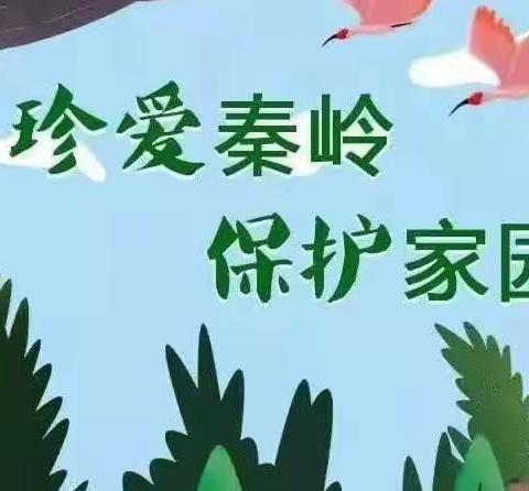 用行动当好秦岭生态卫士   用真心呵护宁静和谐美丽秦岭