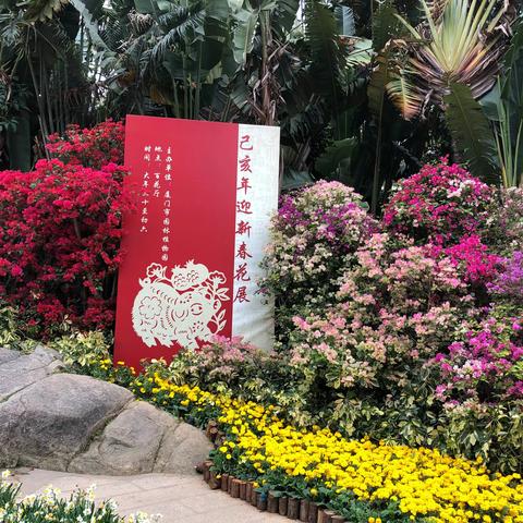 2019春节花展