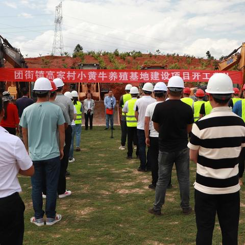 团街镇高家村小黄牛养殖基地建设项目顺利开工