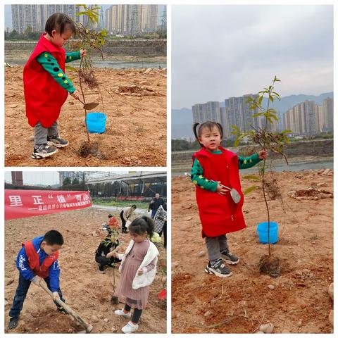 植树节：春风十里 正“植”有你