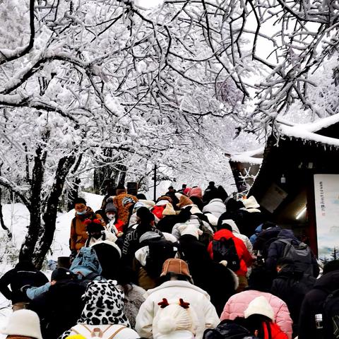 新年元旦登金顶