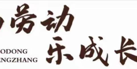 2022年12月“我们收获啦！”——记信宜市白石镇利试小学劳动实践技能总结