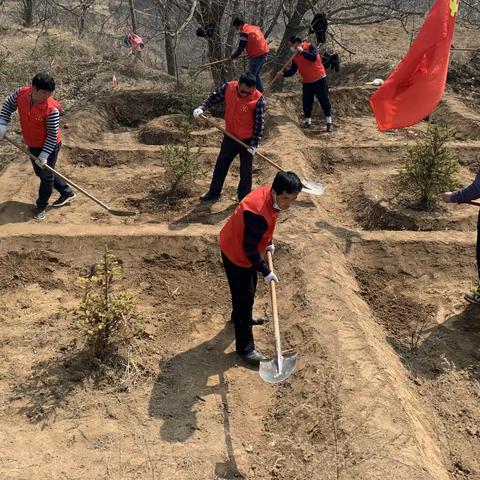 不负春季好时光  造林绿化正当时 ——泾川县飞云镇全面掀起植树造林新高潮