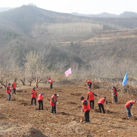 国有灵宝川口林场开展植树造林活动