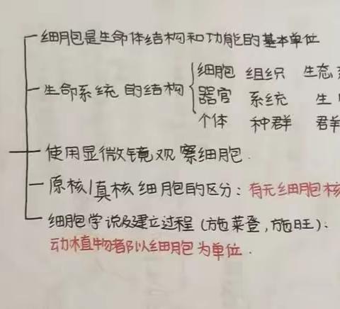 学业水平——画一个学科思维导图