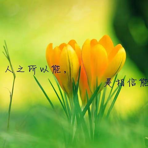 佳作欣赏第七期