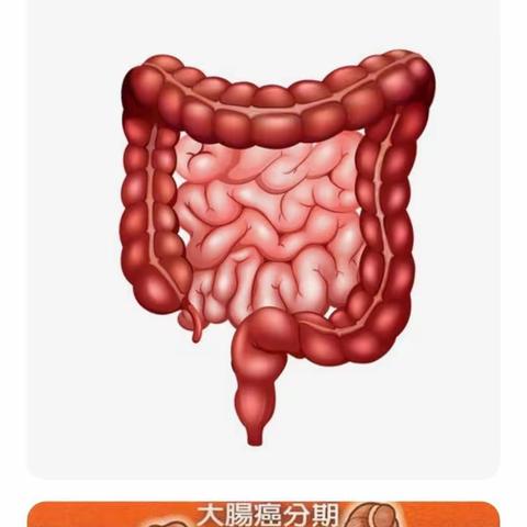 好消息！延长县医院新引进奥林巴斯290高清放大胃肠镜