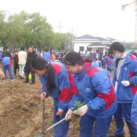 劳动伴我成长 ，丹溪中学四月“春耕播种”活动