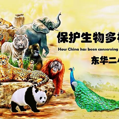 保护生物多样性 关爱地球共同家园