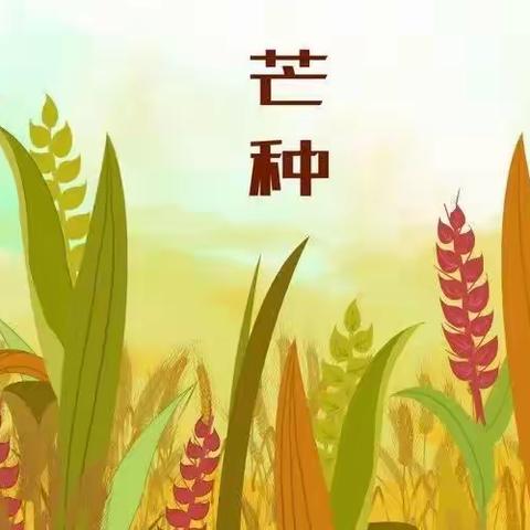 桦甸市第一实验小学开展“芒种”节气班会活动