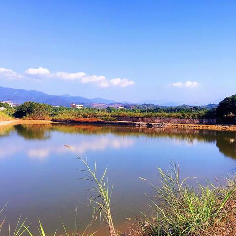奖状