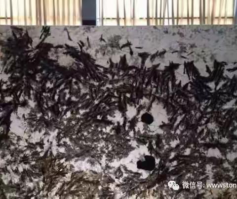 这些稀有石材品种，你都见过吗？