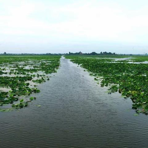 借粮湖采风行