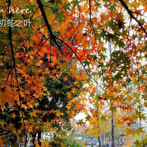 热烈祝贺光荣退休！