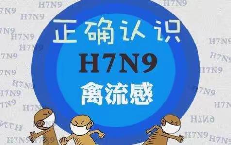 蟠龙镇中心小学预防H7N9禽流感知识宣传