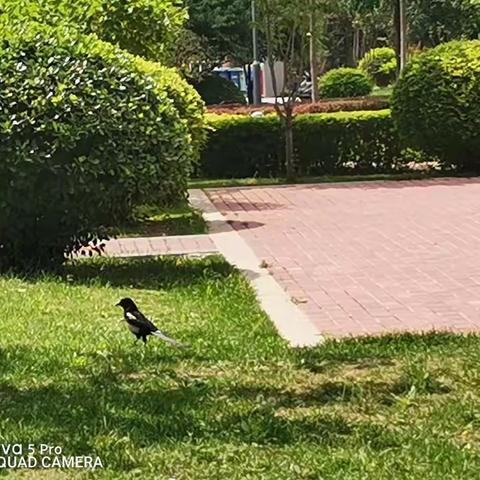 龙湾情怀物业雨季温馨提示