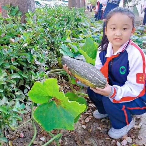 珍惜粮食 不负“食”光—德开小学二年级粮食日主题活动