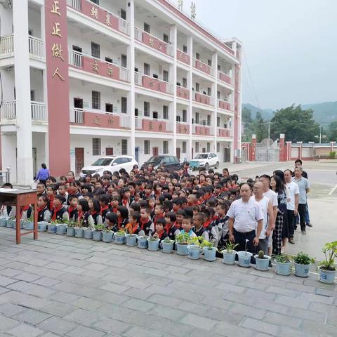 学习老山精神，践行党的教育方针              ——记“罗平县老厂乡虎山完小一堂特殊的党课”