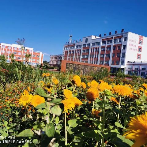 团结友爱的春晖中队 —哈密市伊州区三道岭小学五一中队