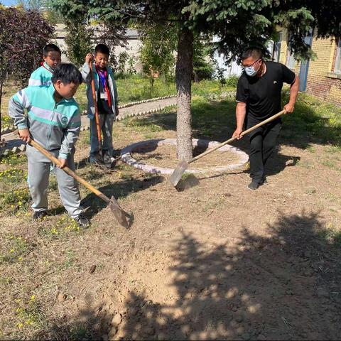 【以劳增技  助力“双减”】——丰田镇中心小学开展劳动与技能教育实践活动