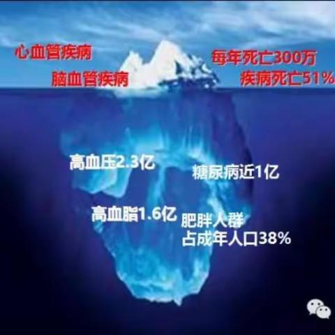 关于优合生物清仕高-全息调理糖尿病高血压高血脂高尿酸和肥胖方案合作医院意向书