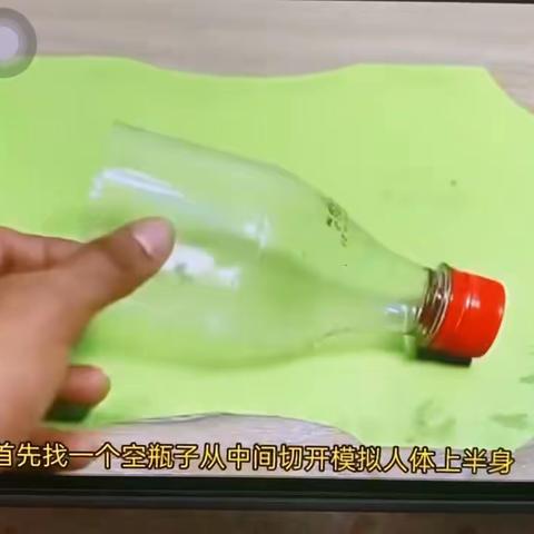 制作呼吸系统结构模型