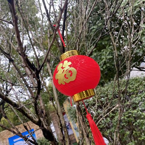 丹小一年级103班（下）第一周我们开学啦！