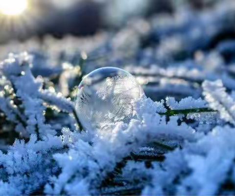 新湖花园除雪啦！