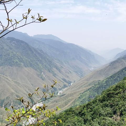 带你了解国家公园内的江西•铅山•武夷山