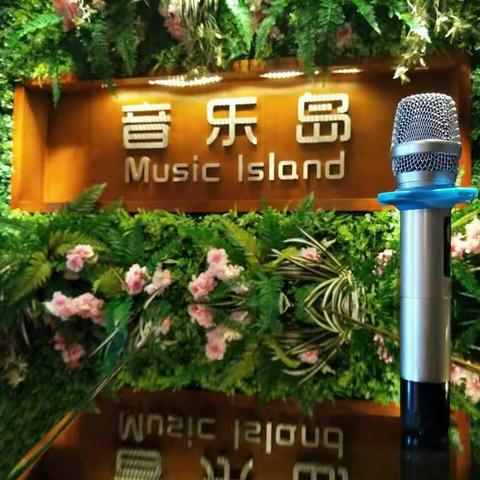 音乐岛介绍
