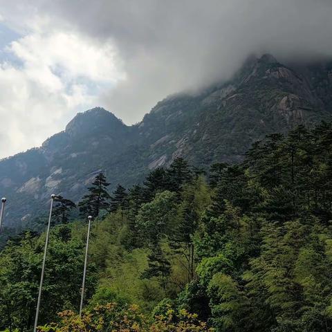 关于未来生活的方向和愿景