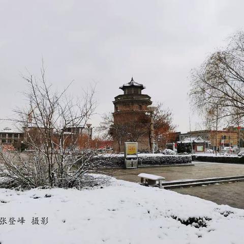 雪已至 看美景 带你领略雪中妖娆的郓城风光