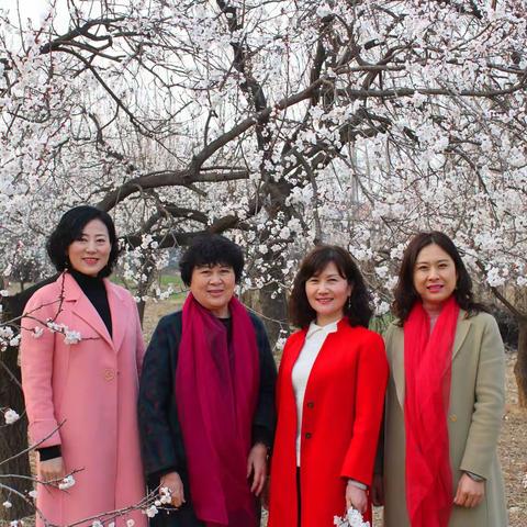 百年杏林，春暖花开