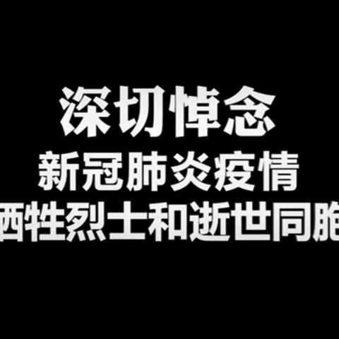 2019级“缅怀先烈 致敬英雄”清明节主题教育活动