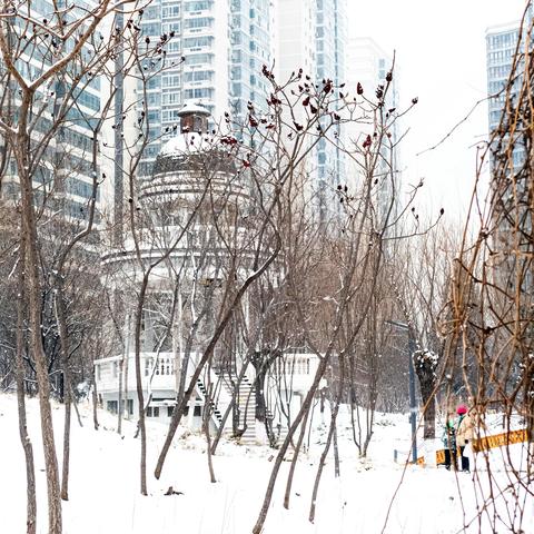 京都初雪