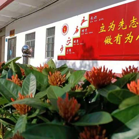 “暖心护学，与爱同行”—感谢四8班大爱的家长志愿者们