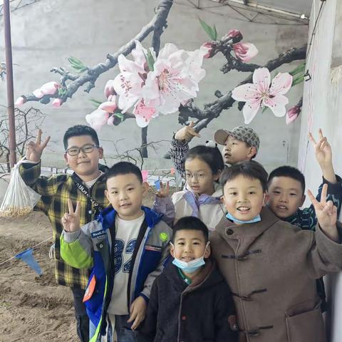 三年三班  彩虹🌈中队   春风十里三月天，相约“南郊”桃花节