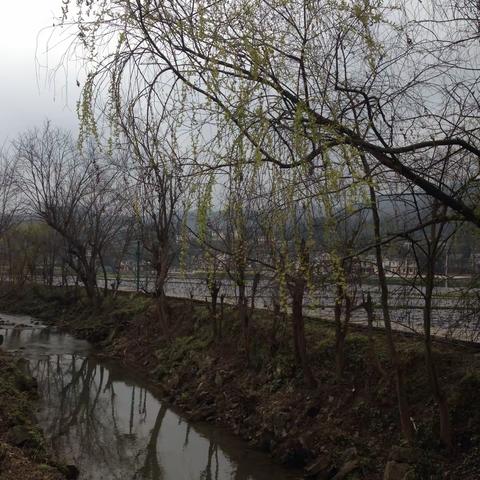 身边的田园风光（三八节游莲池村）