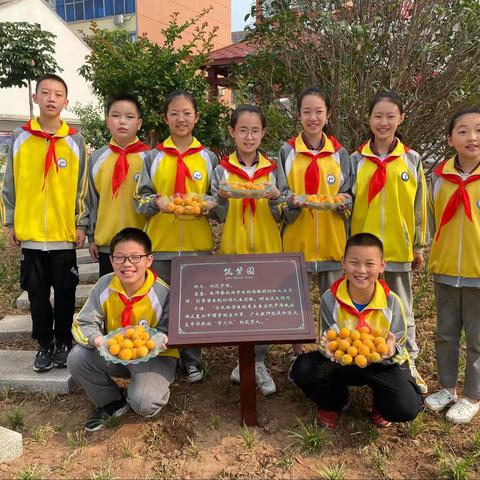 小满杏黄压枝低，我与桃杏竞芬芳—-记林州市第五小学“杏果”小采摘活动