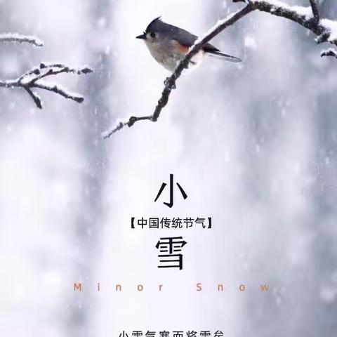 图说时政 《古诗说小雪》