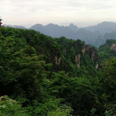 游览杨家界，袁家界，天子山风景区